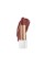 Flower Beauty Petal Pout Lipstick - Cruelty Free - Nourishing & Highly Pigmented Lip Color with Antioxidants (Chestnut Kiss - Cr