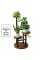 AUGOSTA 4 Tier Corner Plant Stand, Tall Metal Wood Plant Shelf Holder for Indoor, Outdoor Display Rack Flower Pot Stand for Livi