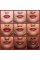 COVERGIRL Outlast All-Day Lip Color Custom Coral .13 Fl Oz (4.2 ml) (Packaging may vary), 2 Count