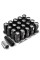 DNA Motoring M12 x 1.25 Closed End 16PC Aluminum Alloy Wheel Lug Nuts + 4 x Lock Nut + 1 x Key (Silver Accents / Black Body)