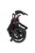 Baby Trend Range Jogger Stroller, Millennium