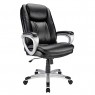 Office & Desk Chairs