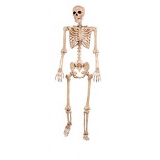 crazy bonez pose-n-stay skeleton