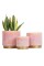 Gepege Pink Indoor Plant Pots for Plants, Ceramic Planter with Drainage Hole, 6.0 inch+5.0 Inch+4.0 Inch. Succulent Orchid Flowe