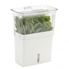 cole & mason fresh herb keeper, container, clear