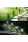 URPOWER Solar Lights Outdoor, Upgraded Solar Garden Lights with Bigger Solar Panel & Longer Working Time Solar Pathway Lights