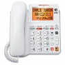 Landline Phones & VoIP