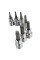 Evolv 7-Piece 3/8-in Drive Torx Bit Socket Set