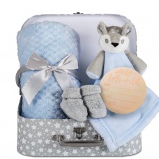 Hoolaroo Baby Boy Gift Set New Born Baby Gift Baby Blue Deer Fawn Security Blanket Soft Fleece, Suitcase Keepsake Box Blanket Booties Bab