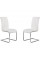 Armen Living Armen Living Amanda Side Chair Set Of Two In white