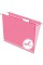 Pendaflex PFX81609 Colored Hanging File Folders