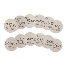 little pear baby milestone discs, baby age milestone marker keepsake & photo prop, gray